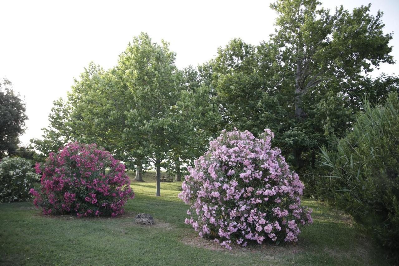 Гостьовий будинок Agriturismo La Fonte Di San Girio Потенца-Пічена Екстер'єр фото